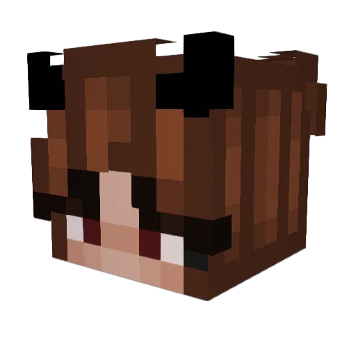Sheepo100 Minecraft avatar head, 3D render