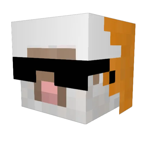 Sheeptiger06 Minecraft avatar head, 3D render