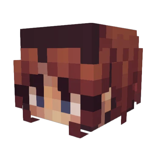 Sheepuns Minecraft avatar head, 3D render