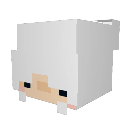 SheepyTime24 Minecraft avatar head, 3D render
