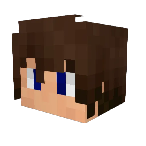 Sheepy_Is_Sleepy Minecraft avatar head, 3D render