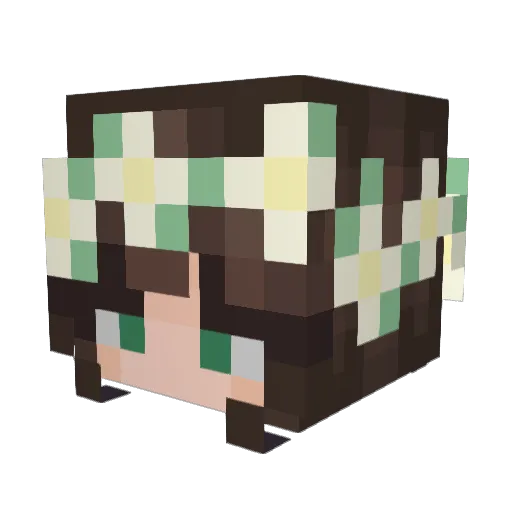 SheerPlains3000 Minecraft avatar head, 3D render