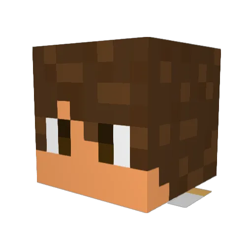 Sheetax Minecraft avatar head, 3D render