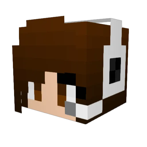 Sheetz1994 Minecraft avatar head, 3D render