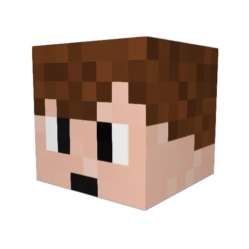 Sheffy101 Minecraft avatar head, 3D render