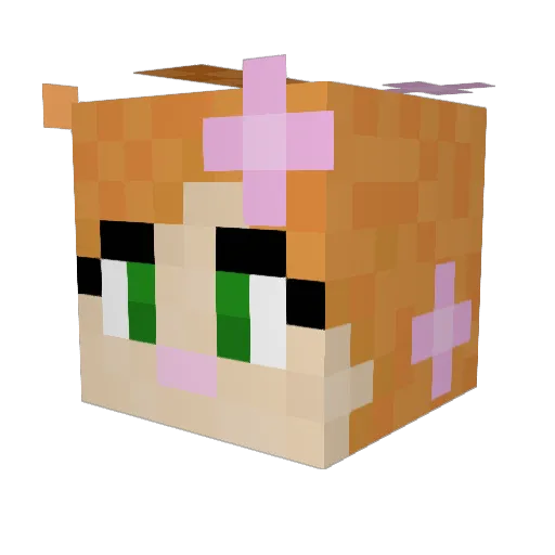 Shegroks Minecraft avatar head, 3D render