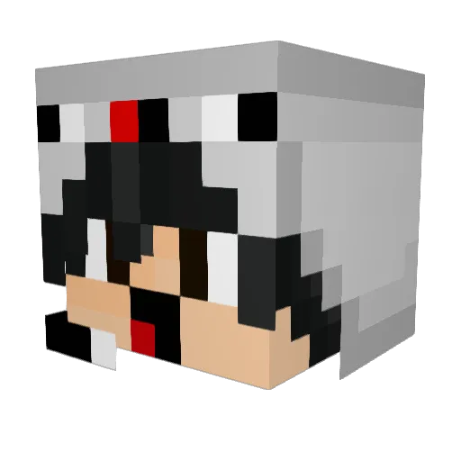 Shei865 Minecraft avatar head, 3D render