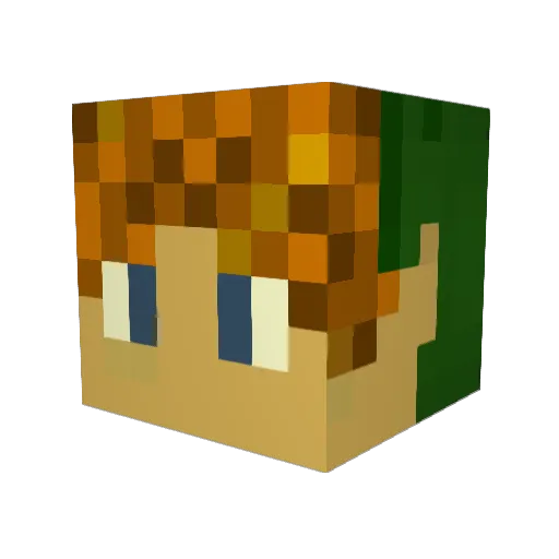 SheikahNinja Minecraft avatar head, 3D render
