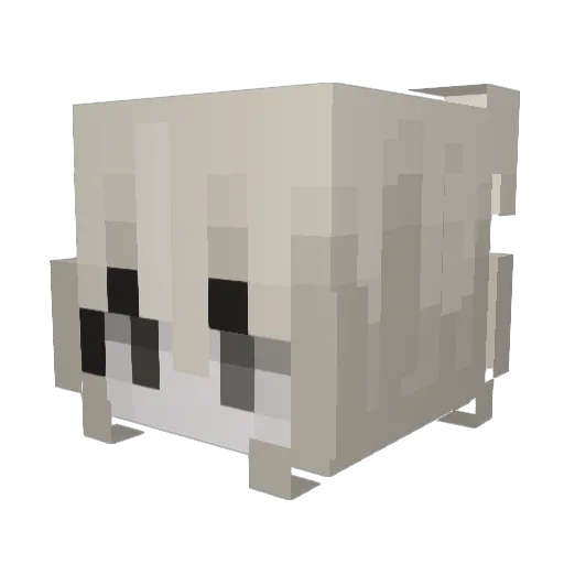 Sheilii Minecraft avatar head, 3D render