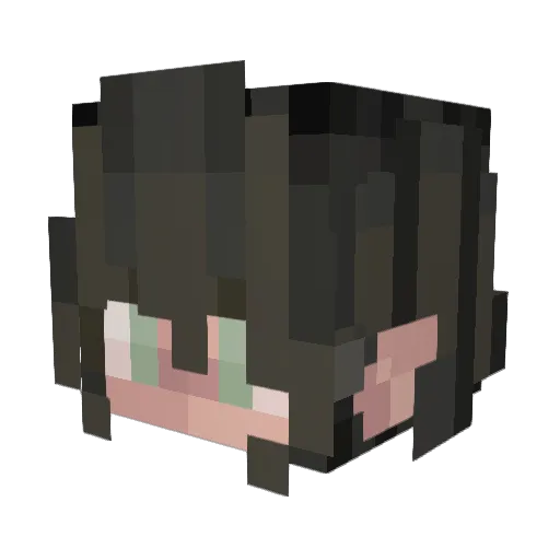 Sheille_ Minecraft avatar head, 3D render