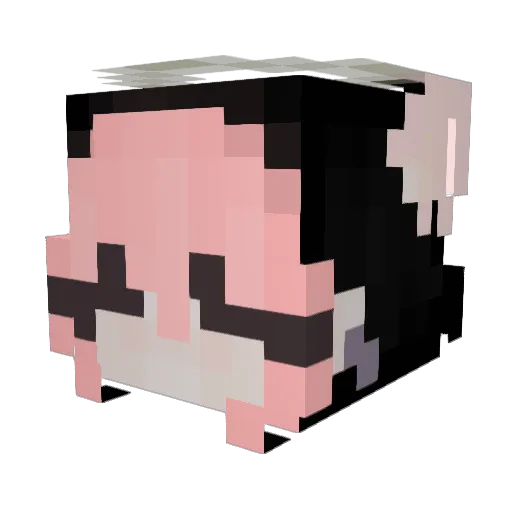 Sheio_ Minecraft avatar head, 3D render
