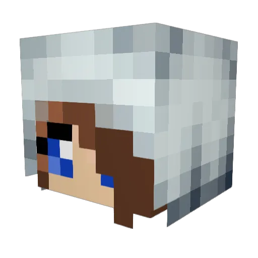Sheivakat Minecraft avatar head, 3D render