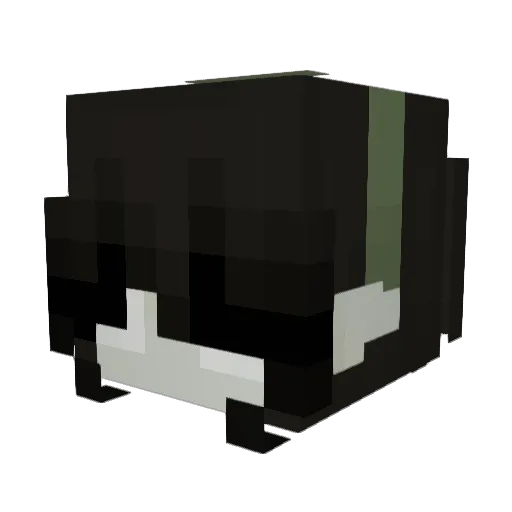 ShekiBooty Minecraft avatar head, 3D render