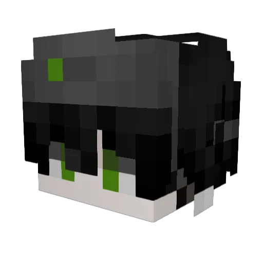 Sheki_ Minecraft avatar head, 3D render