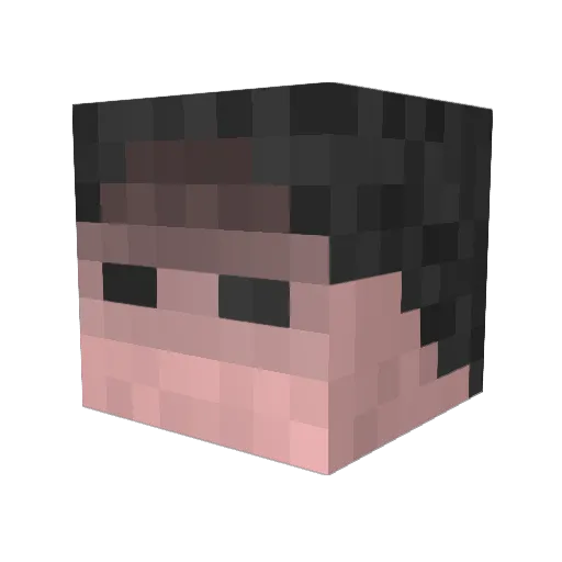 ShekilAria Minecraft avatar head, 3D render
