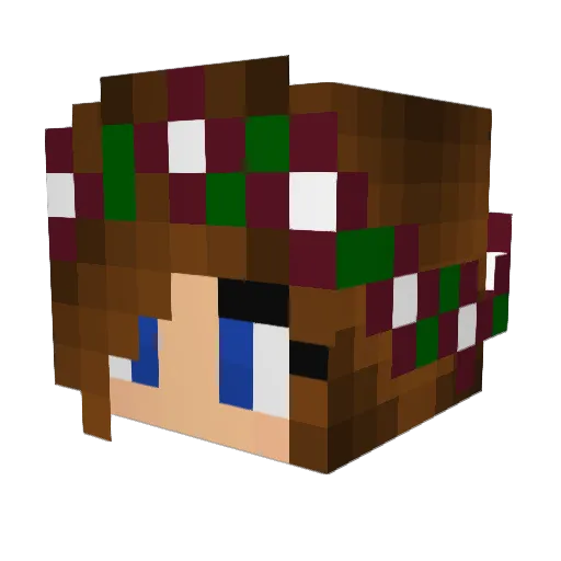 Shel_308 Minecraft avatar head, 3D render