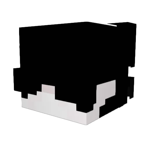 Shelao Minecraft avatar head, 3D render