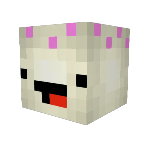 Shelbell08 Minecraft avatar head, 3D render
