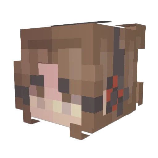 ShelbyIsGone Minecraft avatar head, 3D render
