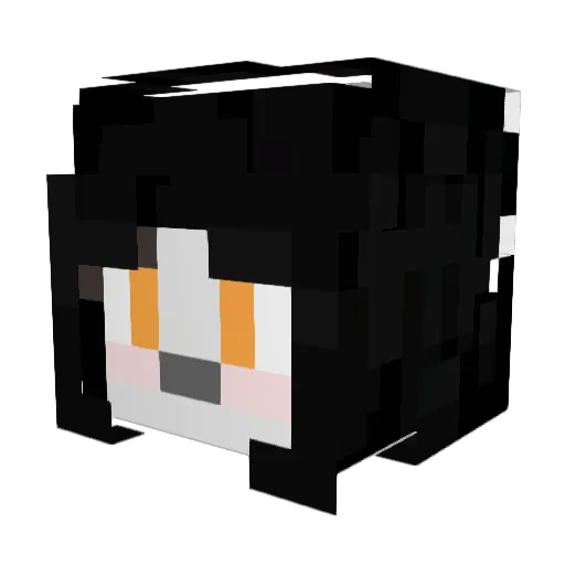 ShelbyWhatever Minecraft avatar head, 3D render