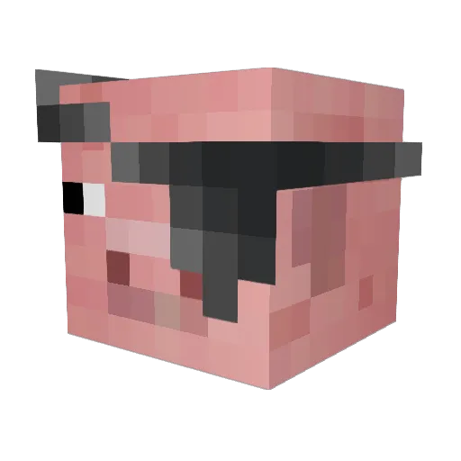 ShelbyZhan Minecraft avatar head, 3D render