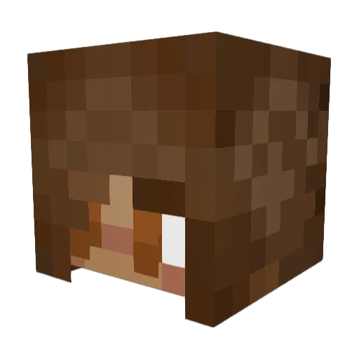 Shelby_Mustangs Minecraft avatar head, 3D render