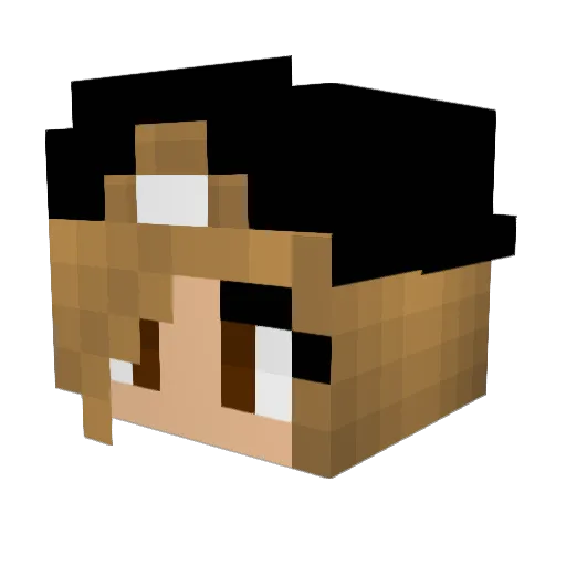 Shelbylu21 Minecraft avatar head, 3D render