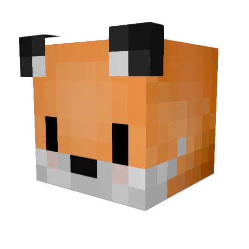 Shelco Minecraft avatar head, 3D render