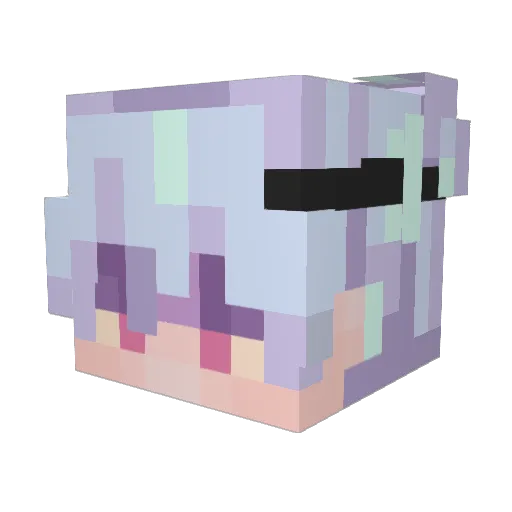 Sheldon19583 Minecraft avatar head, 3D render