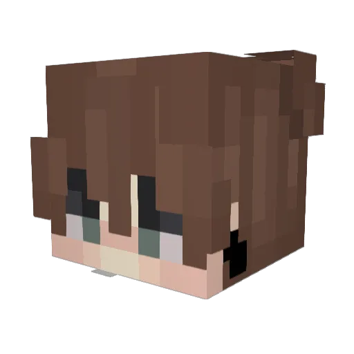 Sheldor6735 Minecraft avatar head, 3D render