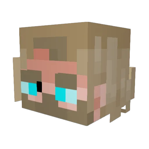 Sheldy86 Minecraft avatar head, 3D render