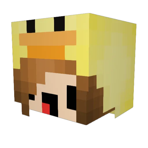 Shell001 Minecraft avatar head, 3D render