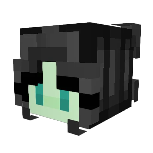 Shell213 Minecraft avatar head, 3D render
