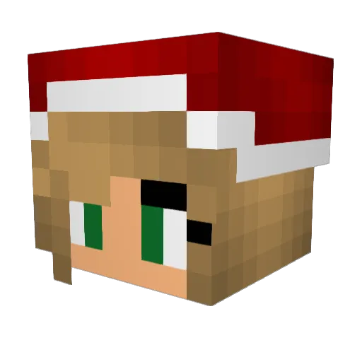 Shell345 Minecraft avatar head, 3D render