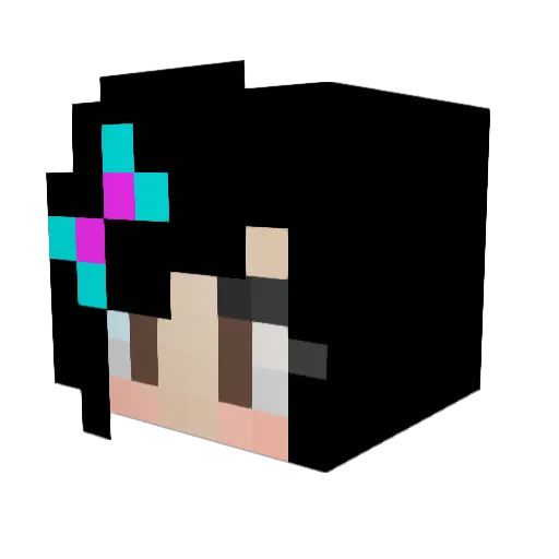 Shell5436 Minecraft avatar head, 3D render