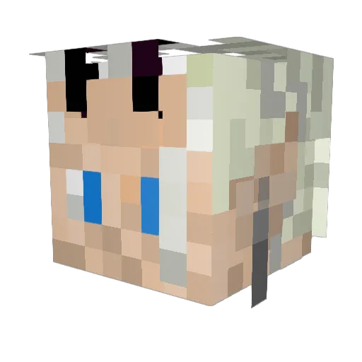 ShellKelingg Minecraft avatar head, 3D render