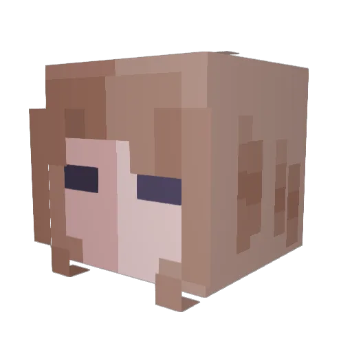 ShellTillyy Minecraft avatar head, 3D render