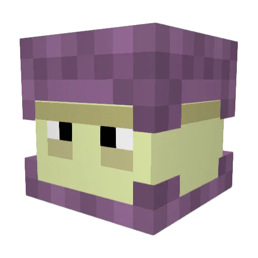 Shell_Lurker Minecraft avatar head, 3D render