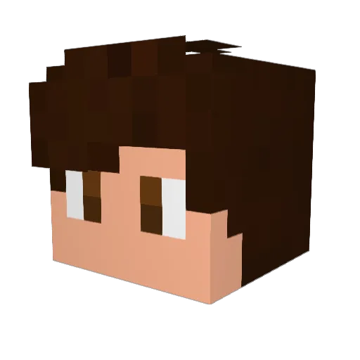 ShellderBr Minecraft avatar head, 3D render