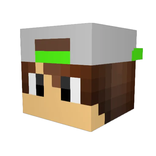 Shelleylyn Minecraft avatar head, 3D render