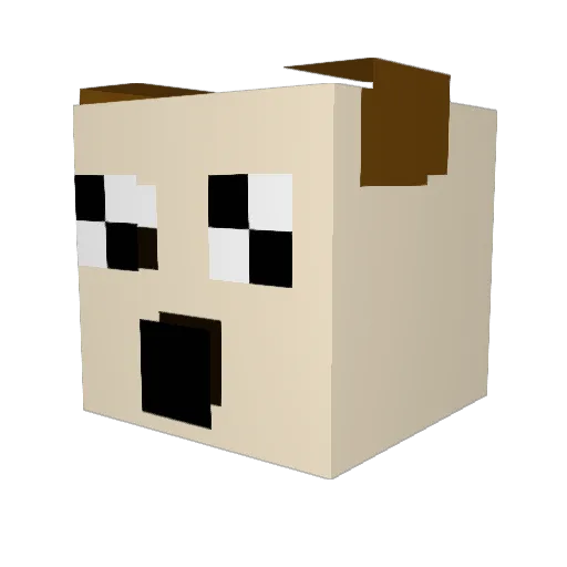 ShellpopTheOtter Minecraft avatar head, 3D render