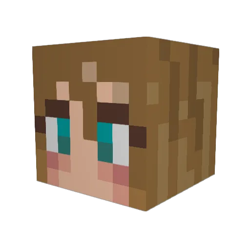 Shellro Minecraft avatar head, 3D render