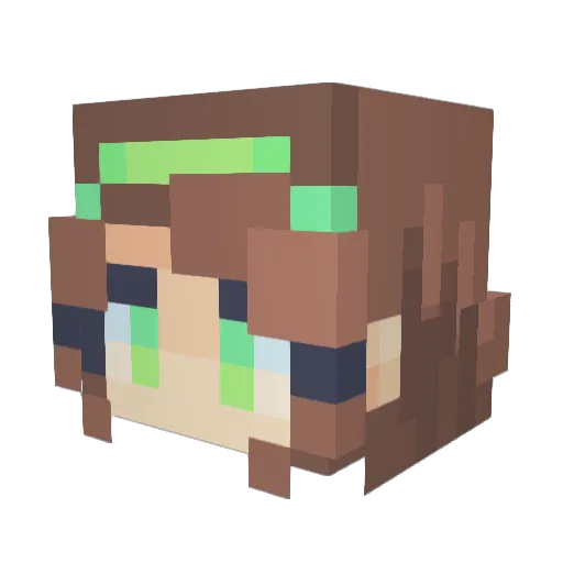 Shelly2000 Minecraft avatar head, 3D render