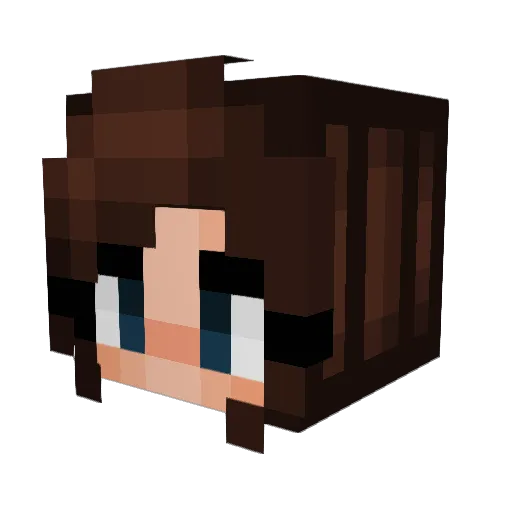 ShellyBoats Minecraft avatar head, 3D render