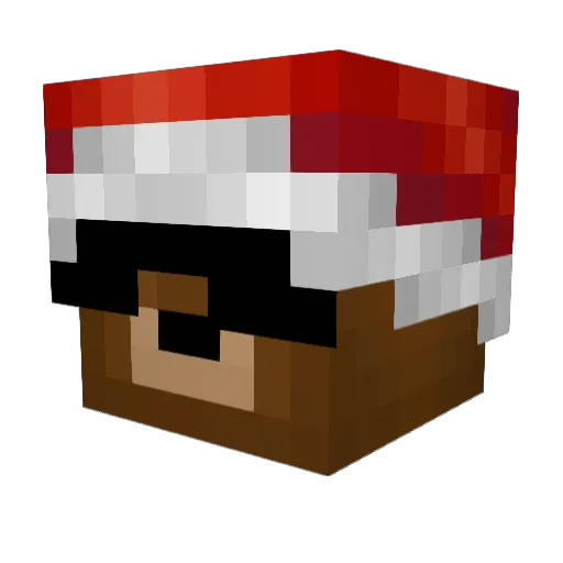 ShellyGD Minecraft avatar head, 3D render