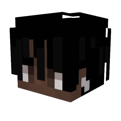 ShellyIG Minecraft avatar head, 3D render