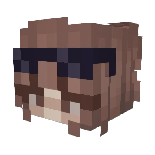 ShellyPaws Minecraft avatar head, 3D render