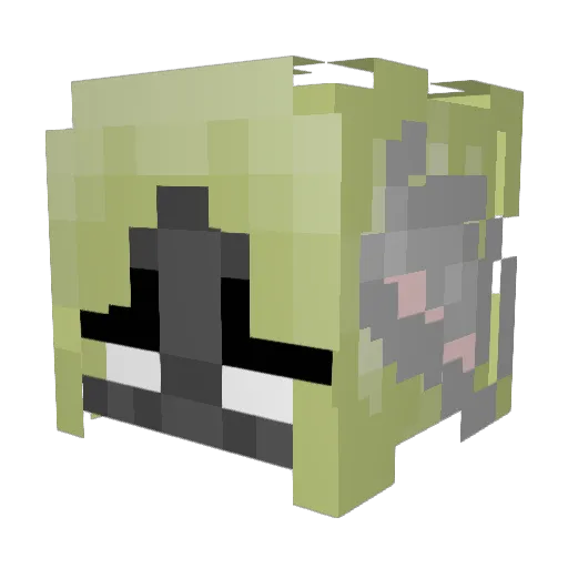ShellyShiloh Minecraft avatar head, 3D render