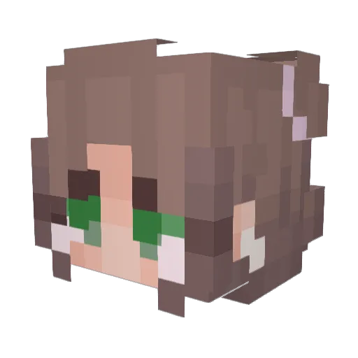 ShellyTundra789 Minecraft avatar head, 3D render