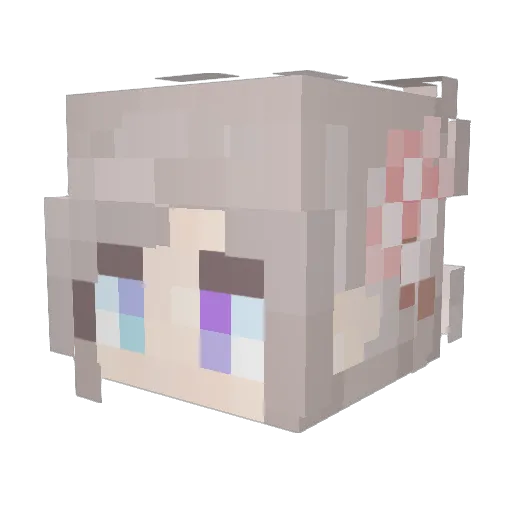 Shelter_ Minecraft avatar head, 3D render